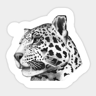 Leopard Big Cat Wildlife Exotic Animal Nature Sticker